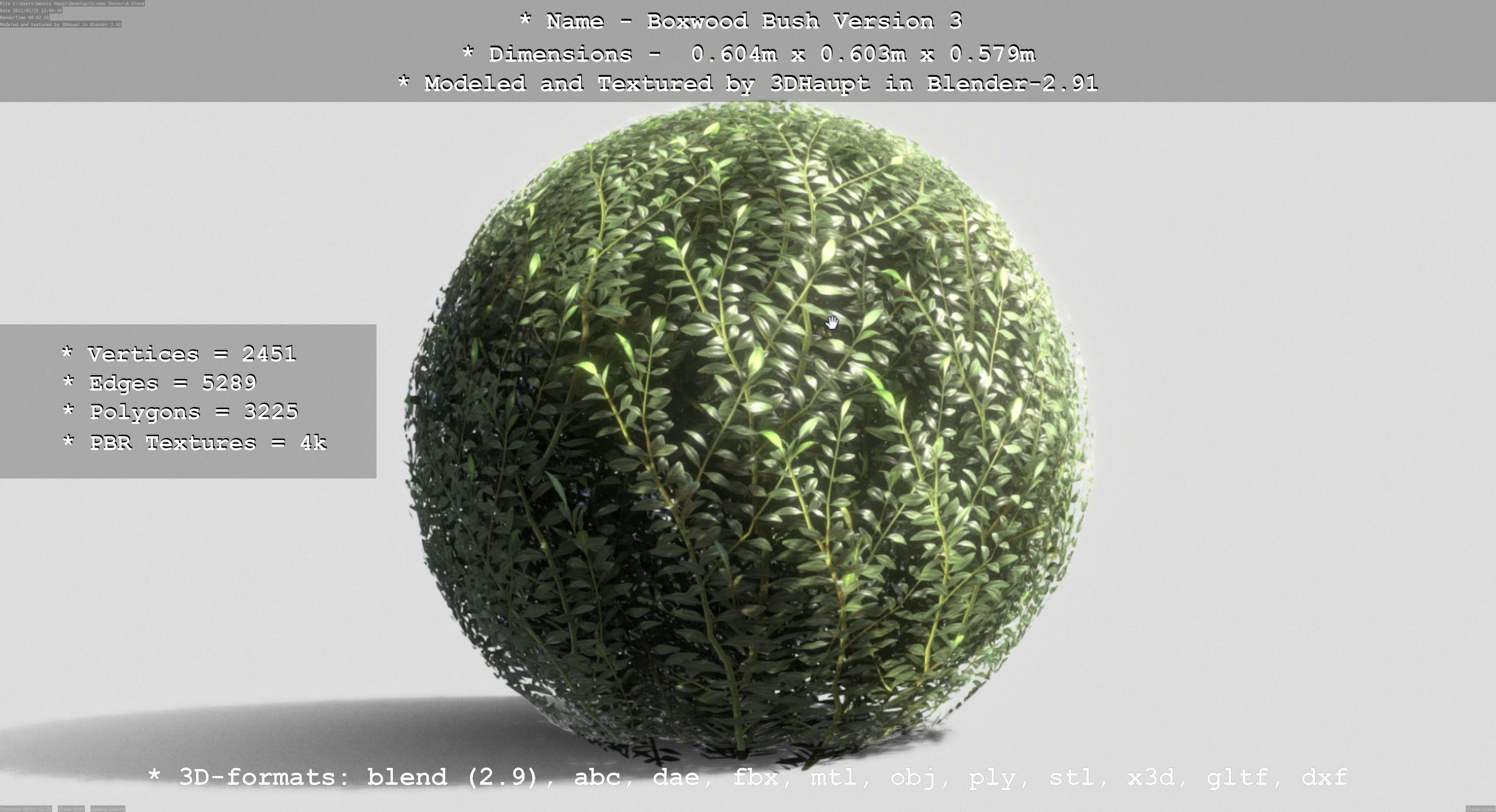 Low-Poly Boxwood Bush Version 3 Low-poly 3D model_24