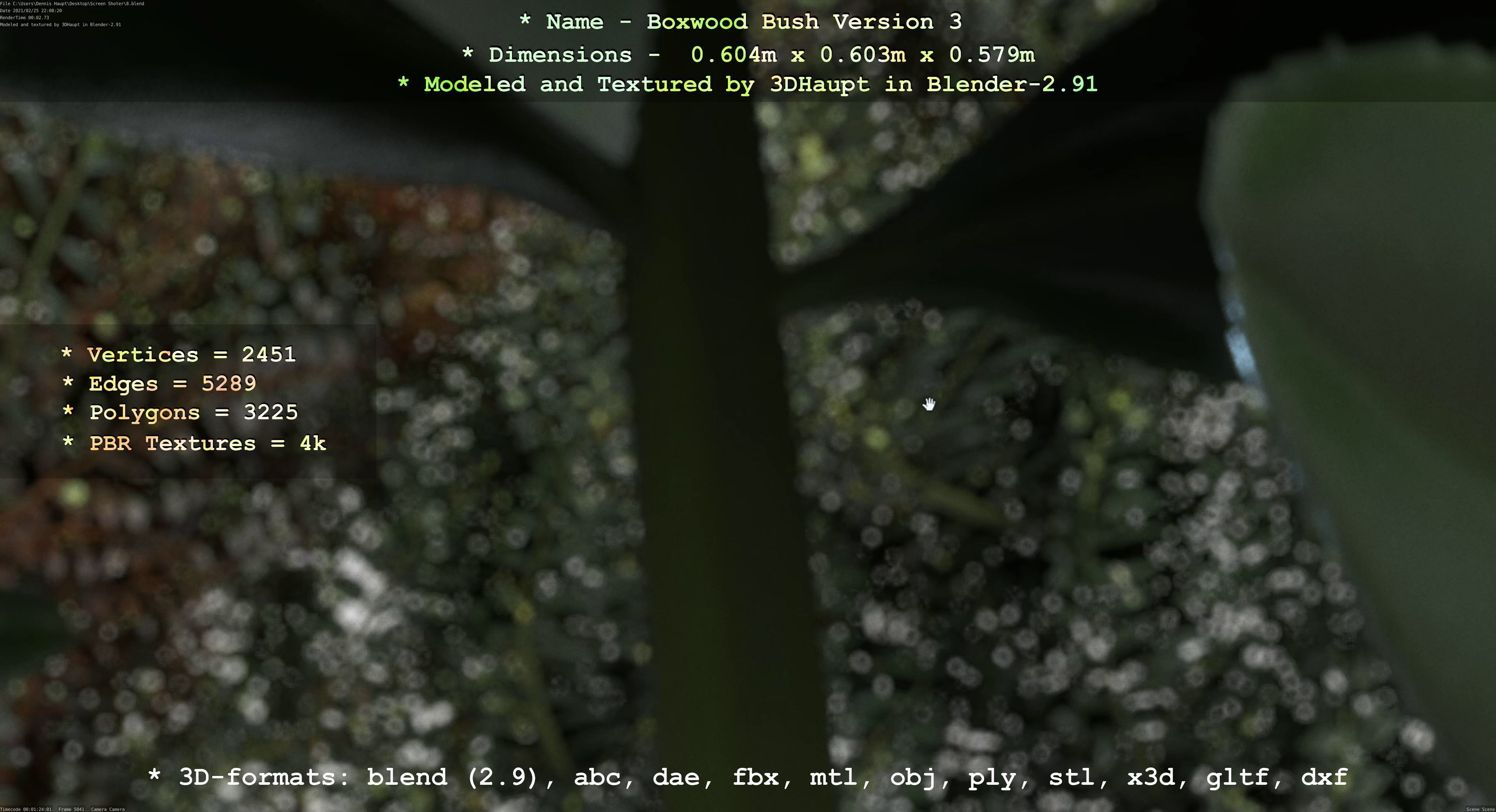 Low-Poly Boxwood Bush Version 3 Low-poly 3D model_57