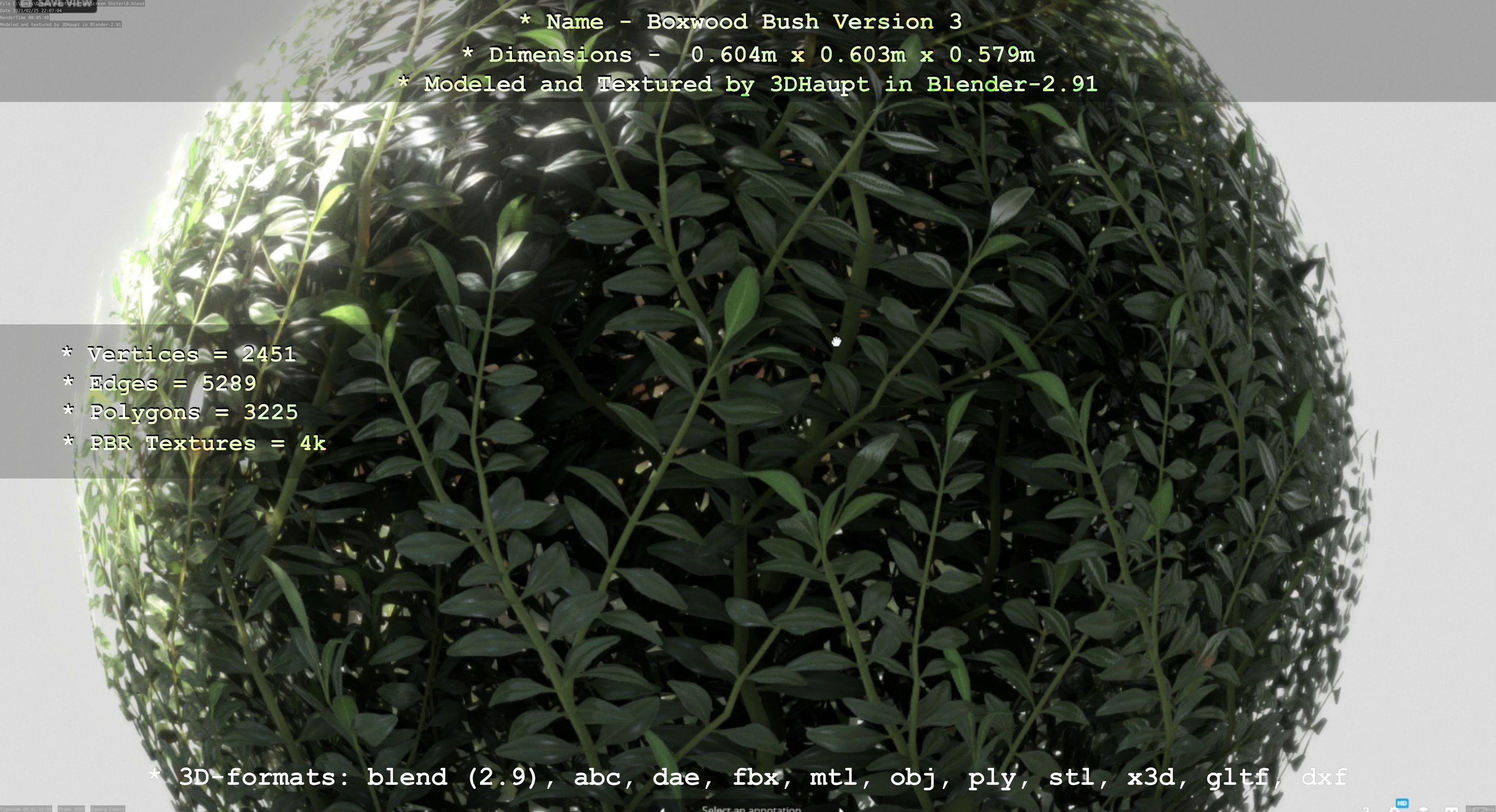 Low-Poly Boxwood Bush Version 3 Low-poly 3D model_109