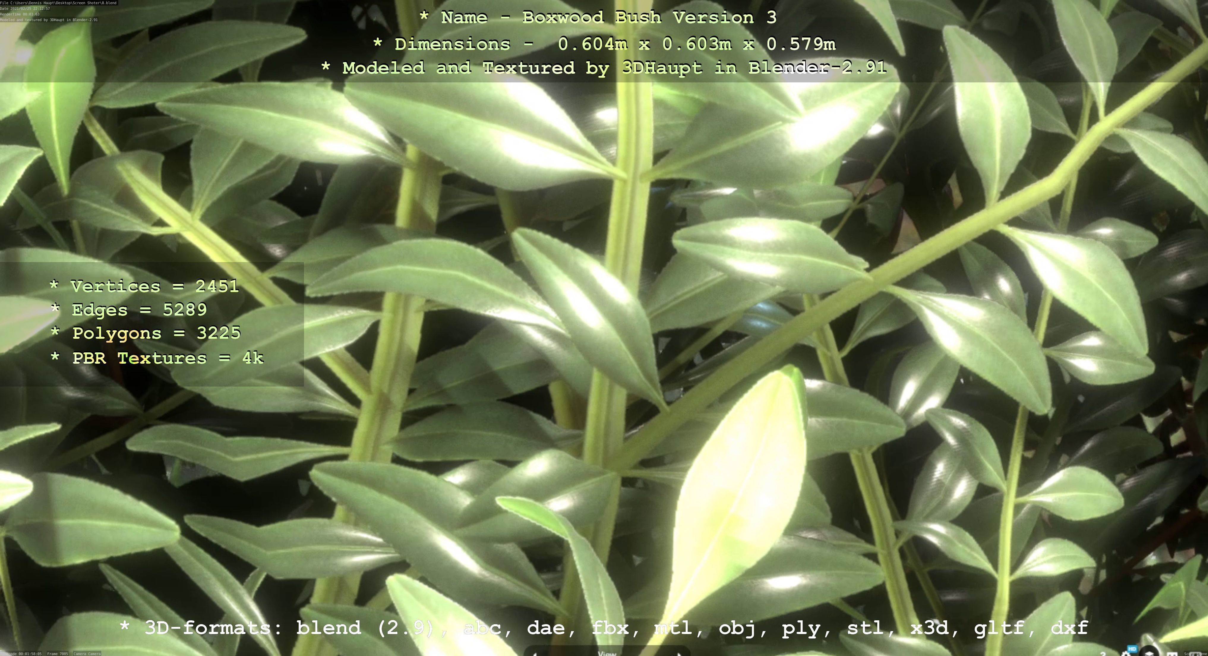 Low-Poly Boxwood Bush Version 3 Low-poly 3D model_67