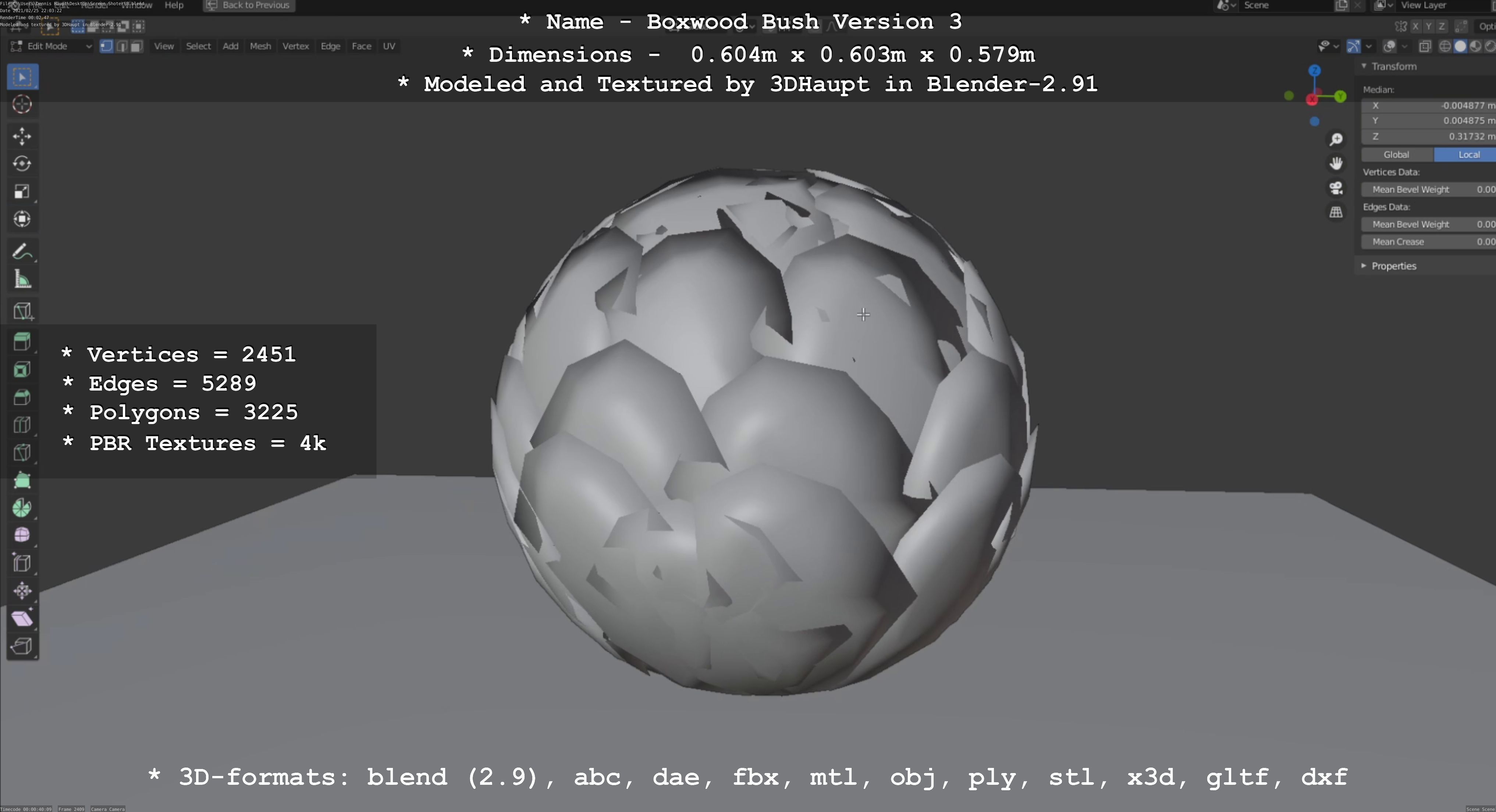 Low-Poly Boxwood Bush Version 3 Low-poly 3D model_113