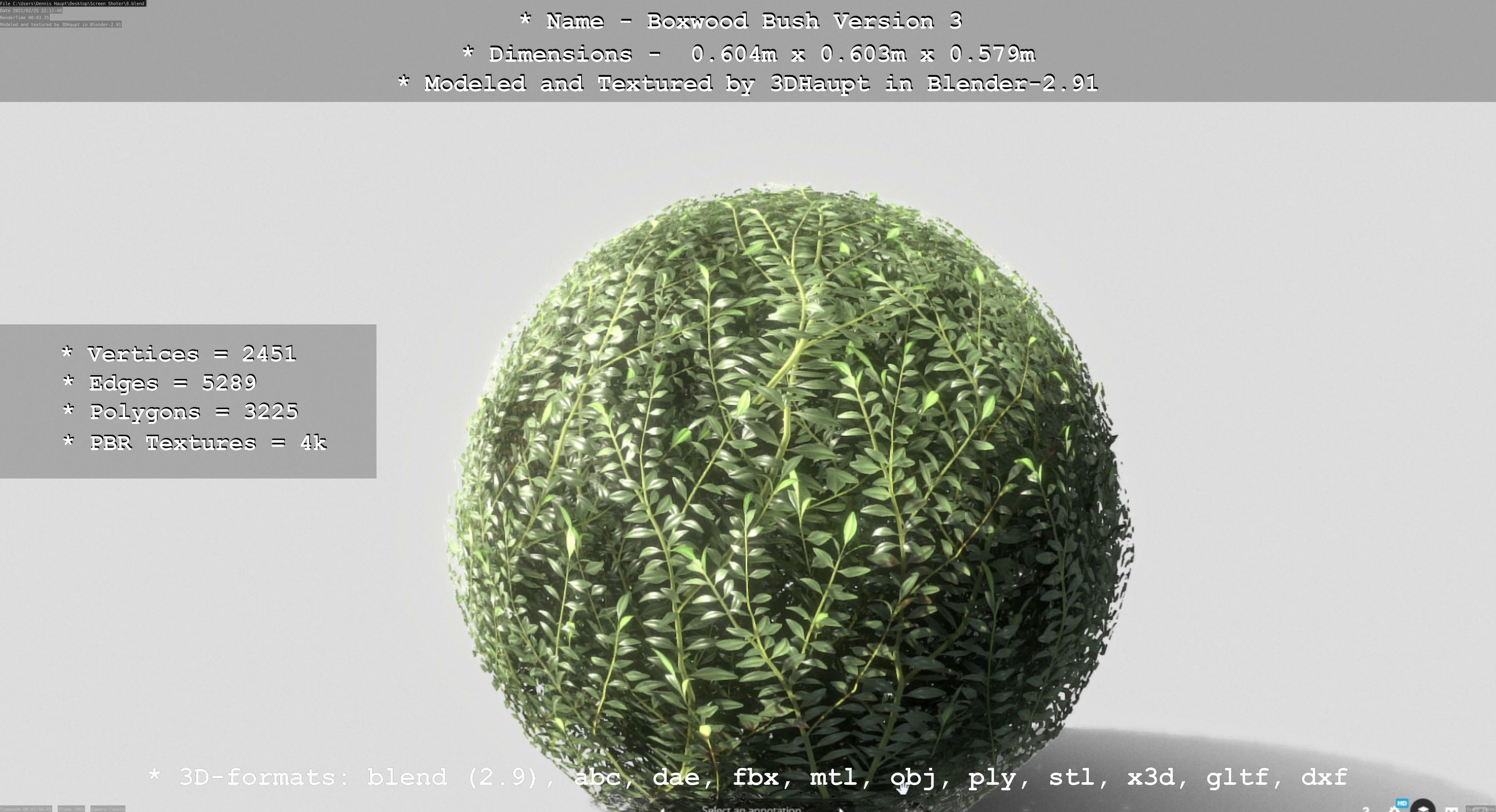 Low-Poly Boxwood Bush Version 3 Low-poly 3D model_66