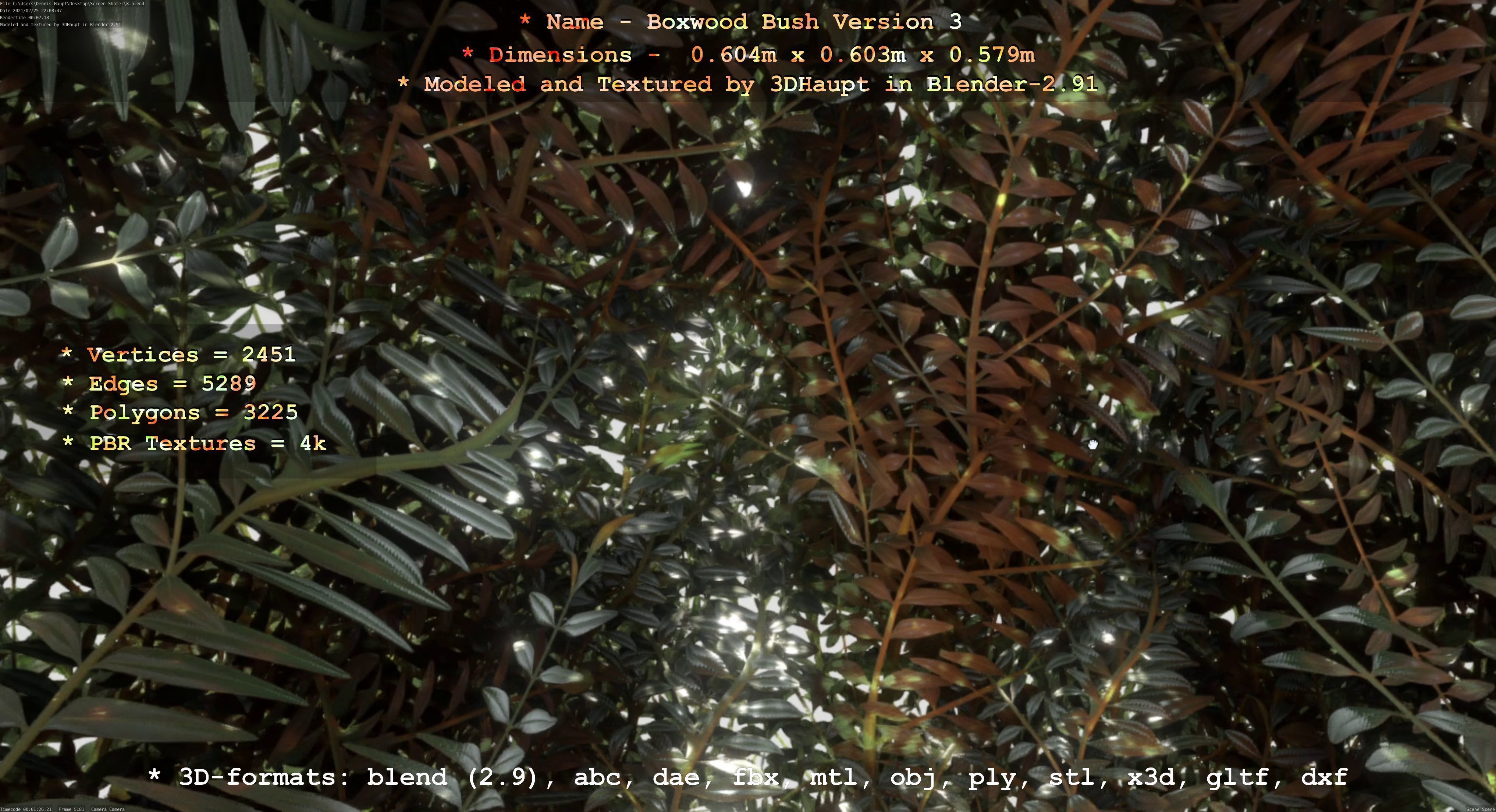 Low-Poly Boxwood Bush Version 3 Low-poly 3D model_58