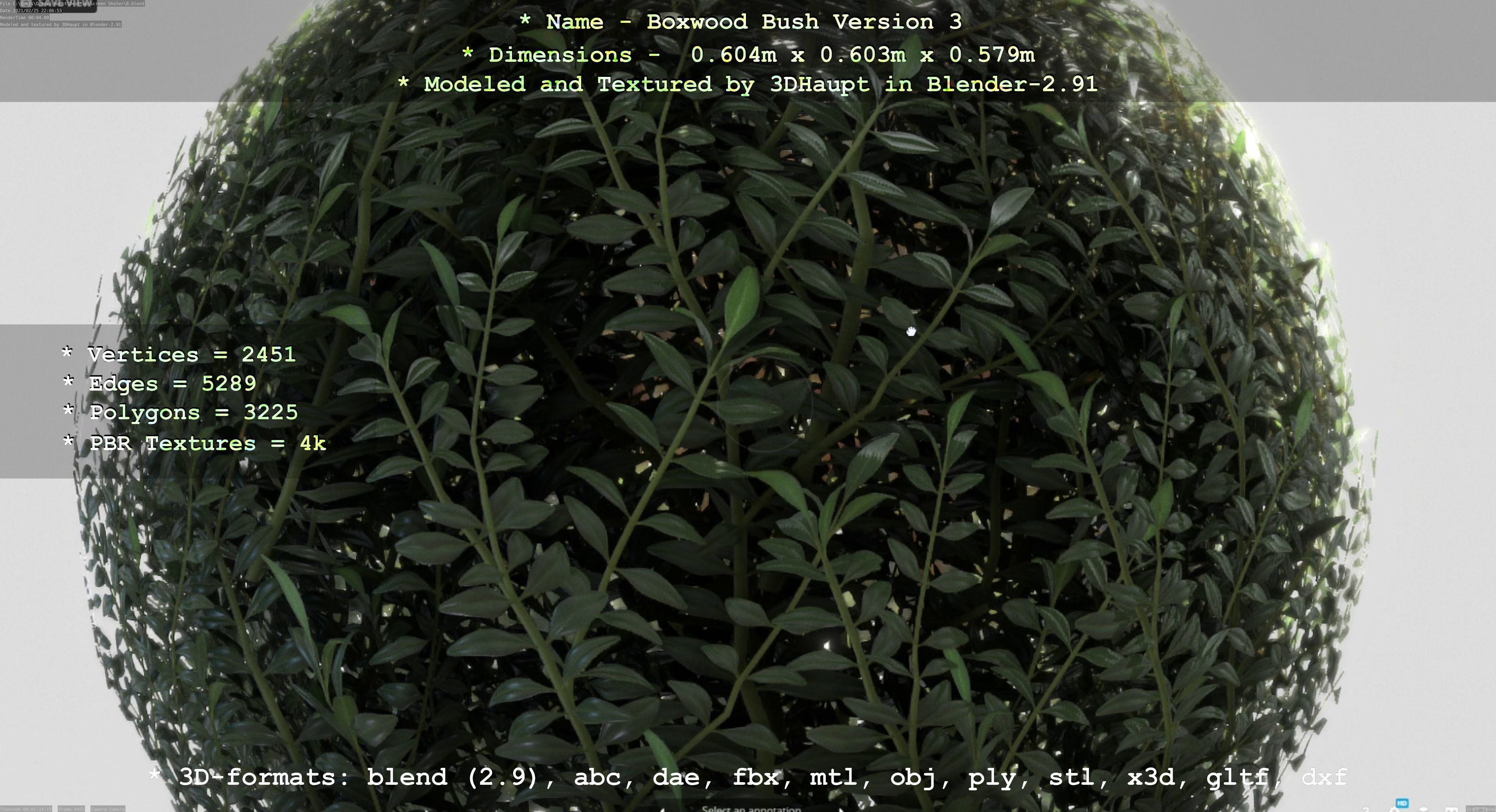 Low-Poly Boxwood Bush Version 3 Low-poly 3D model_98