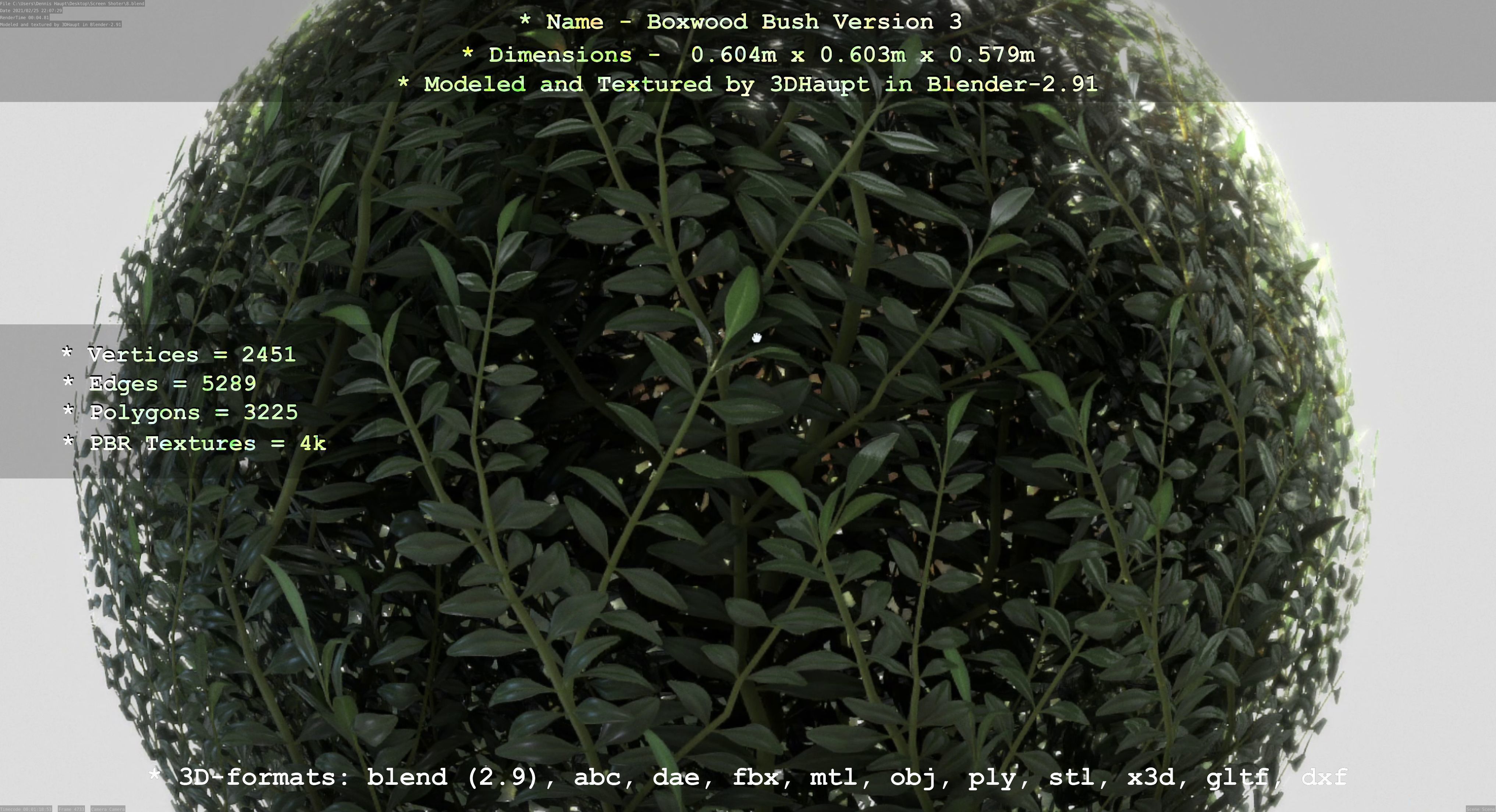 Low-Poly Boxwood Bush Version 3 Low-poly 3D model_53