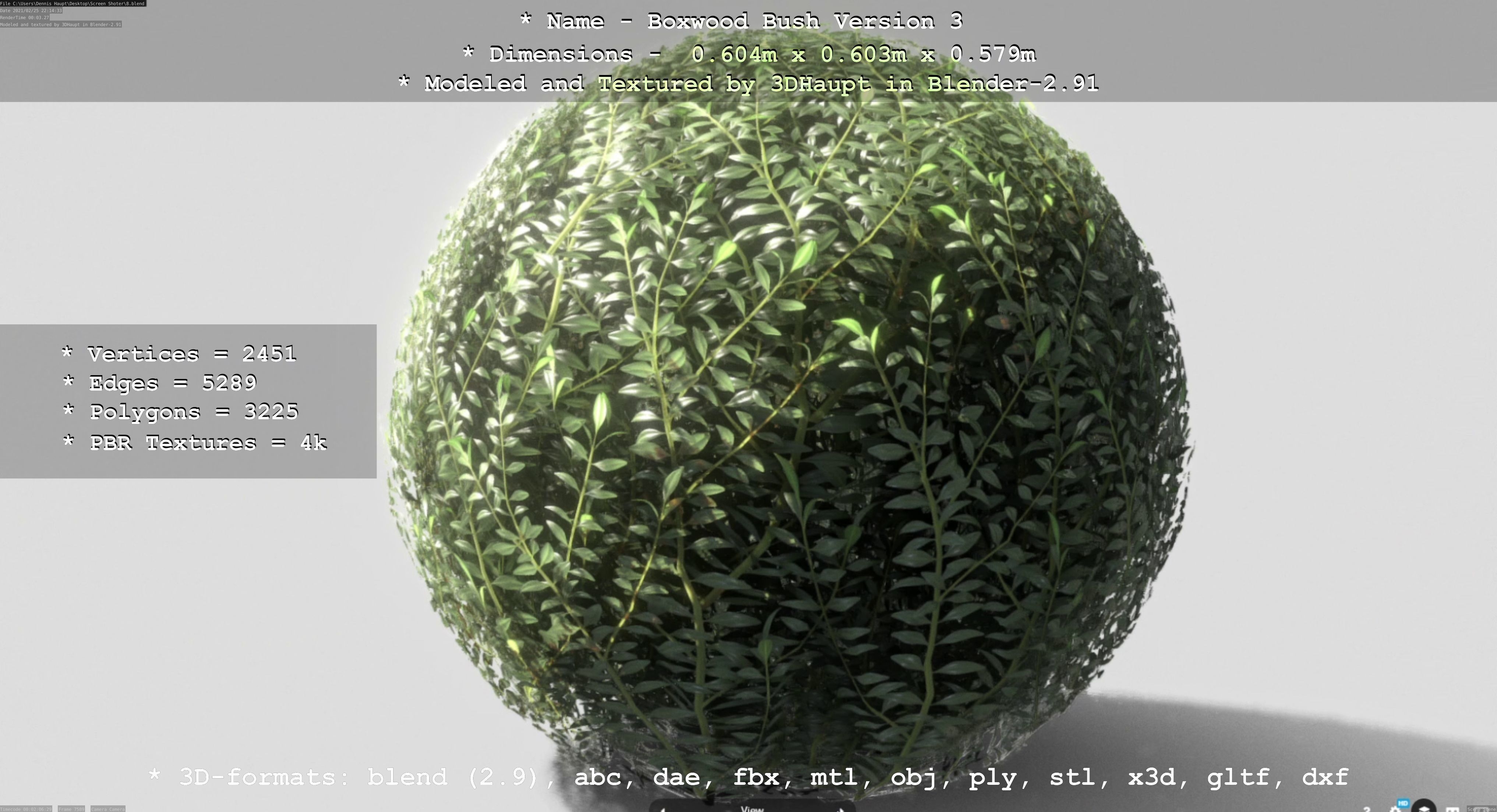 Low-Poly Boxwood Bush Version 3 Low-poly 3D model_21