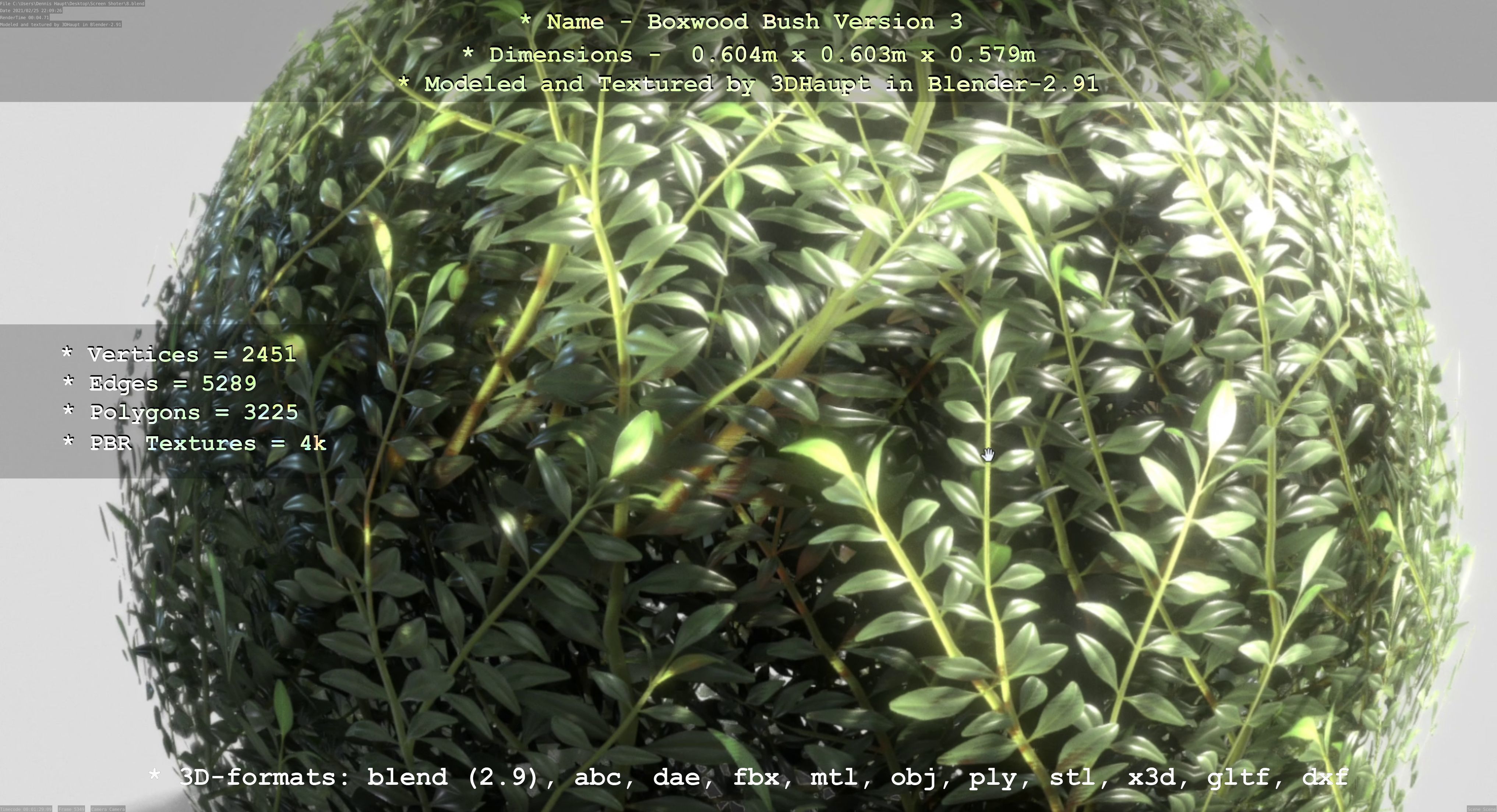 Low-Poly Boxwood Bush Version 3 Low-poly 3D model_10