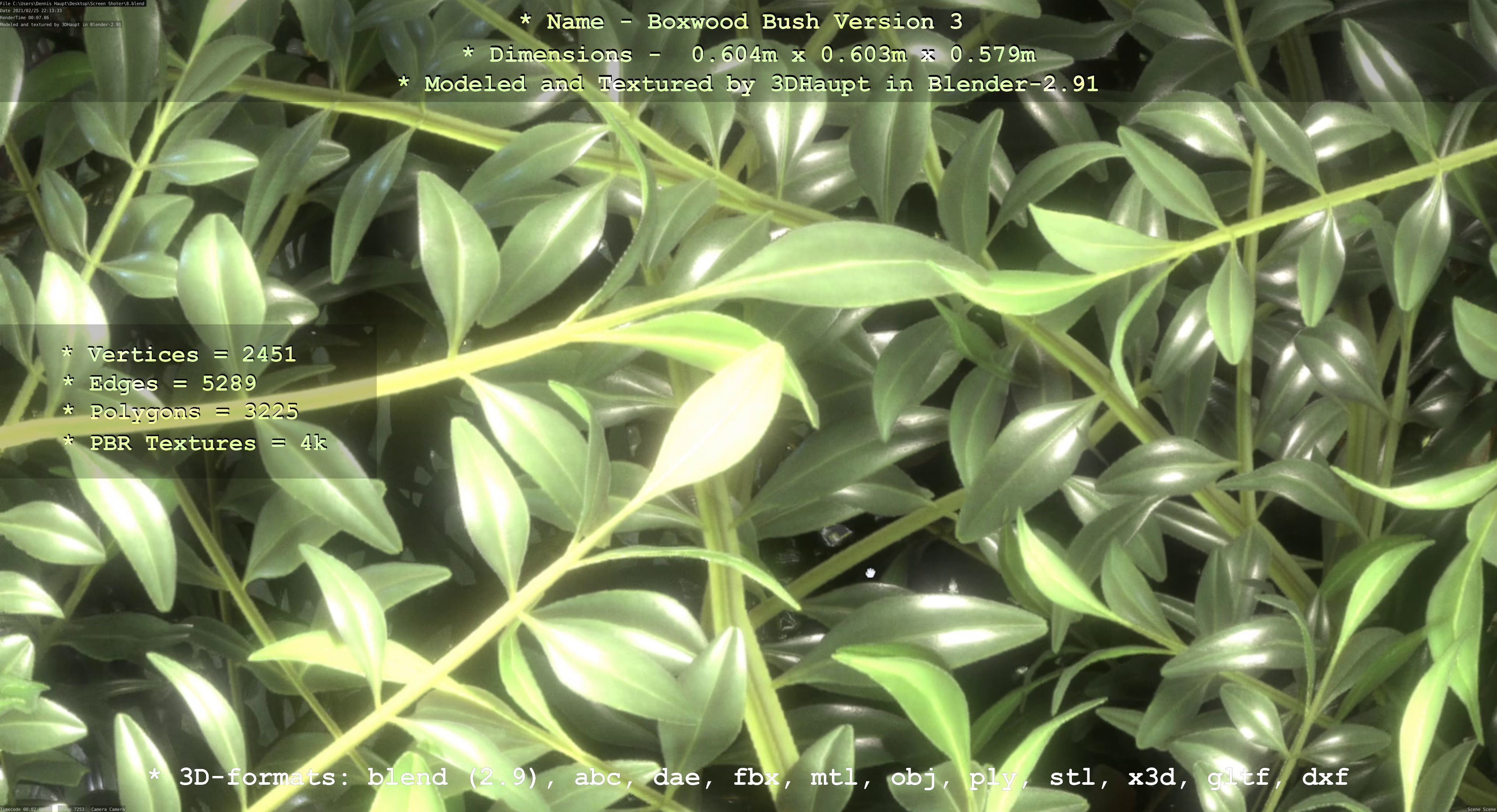 Low-Poly Boxwood Bush Version 3 Low-poly 3D model_70