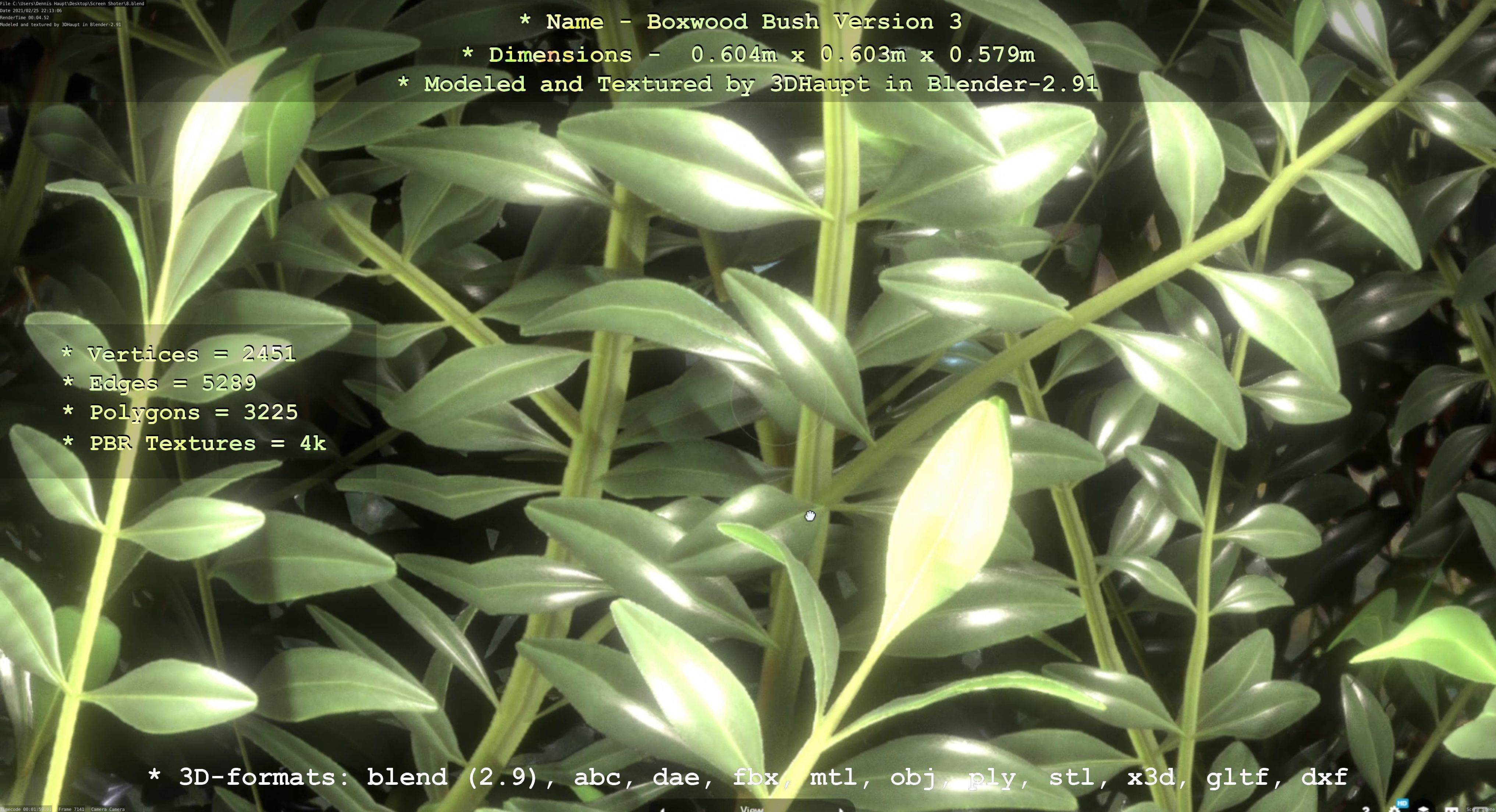 Low-Poly Boxwood Bush Version 3 Low-poly 3D model_68