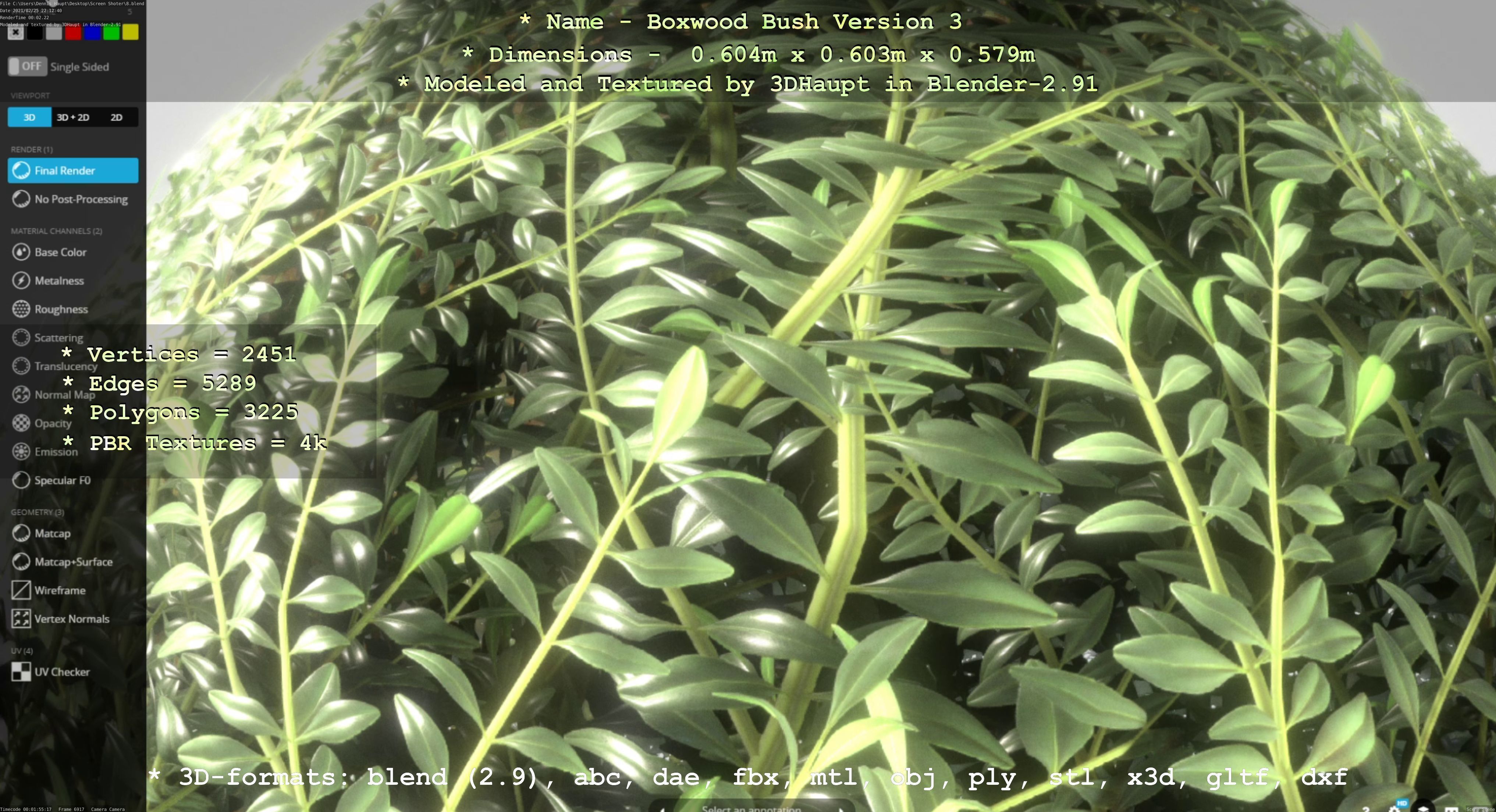 Low-Poly Boxwood Bush Version 3 Low-poly 3D model_63