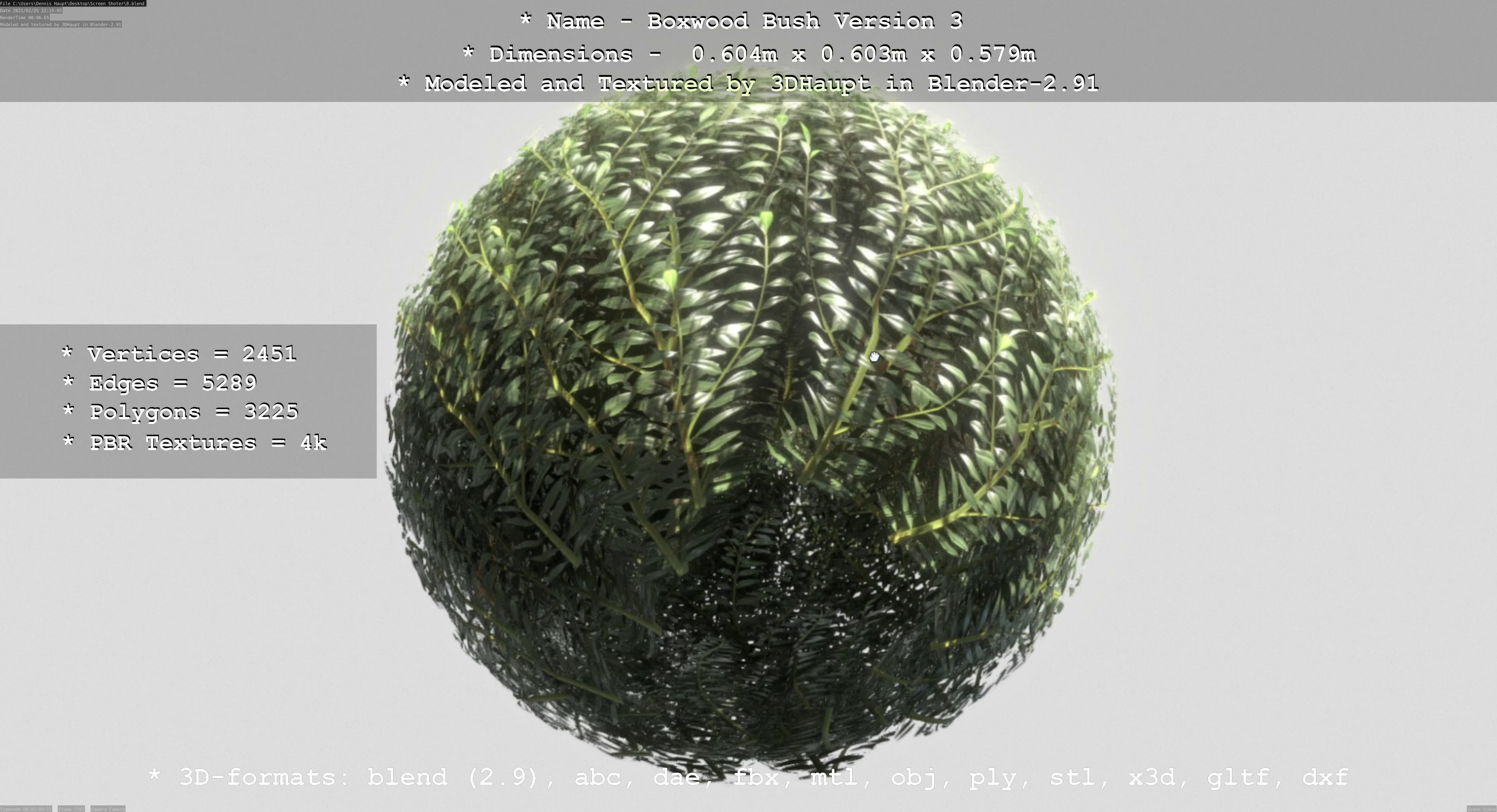 Low-Poly Boxwood Bush Version 3 Low-poly 3D model_22