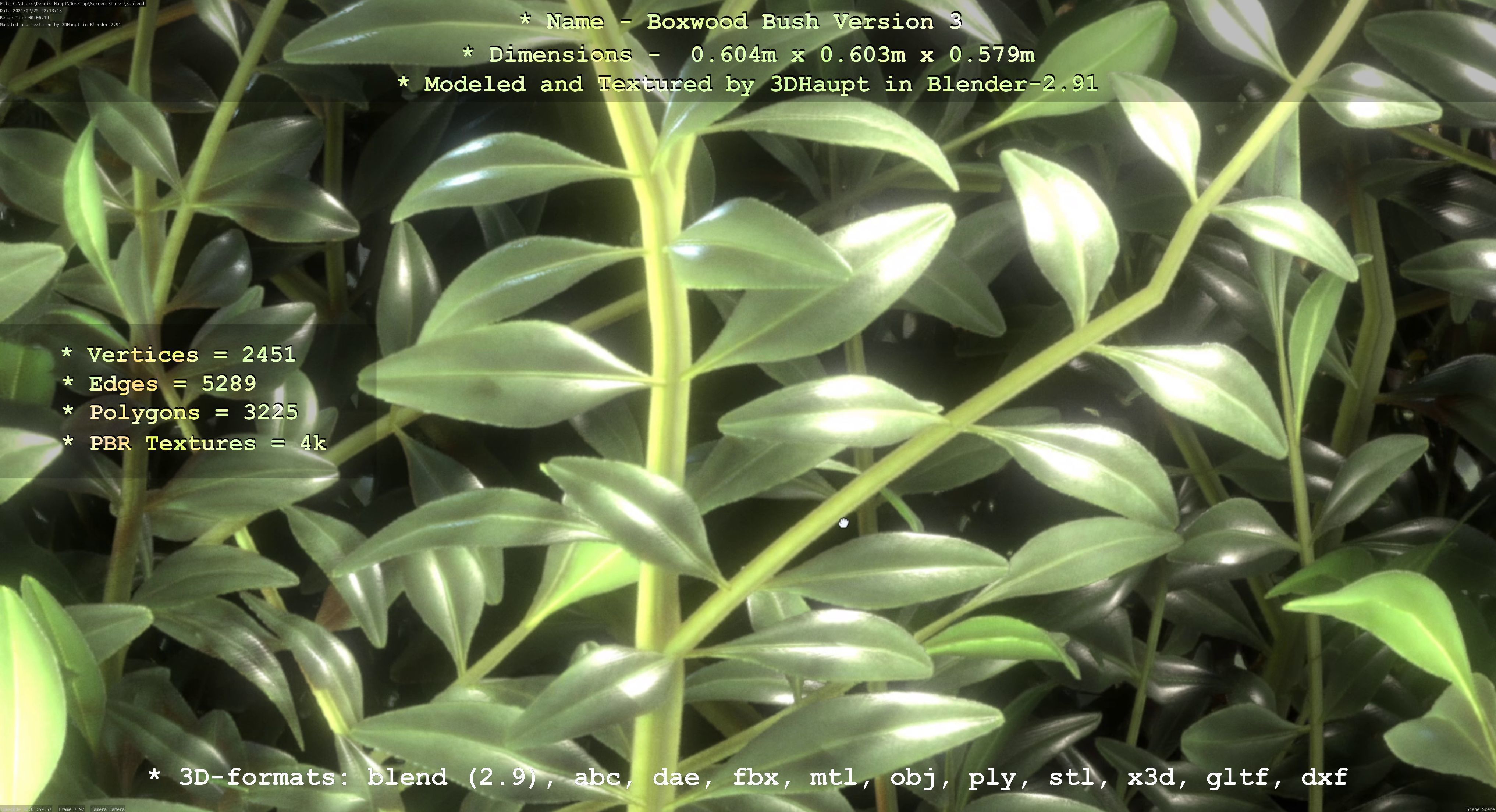 Low-Poly Boxwood Bush Version 3 Low-poly 3D model_69