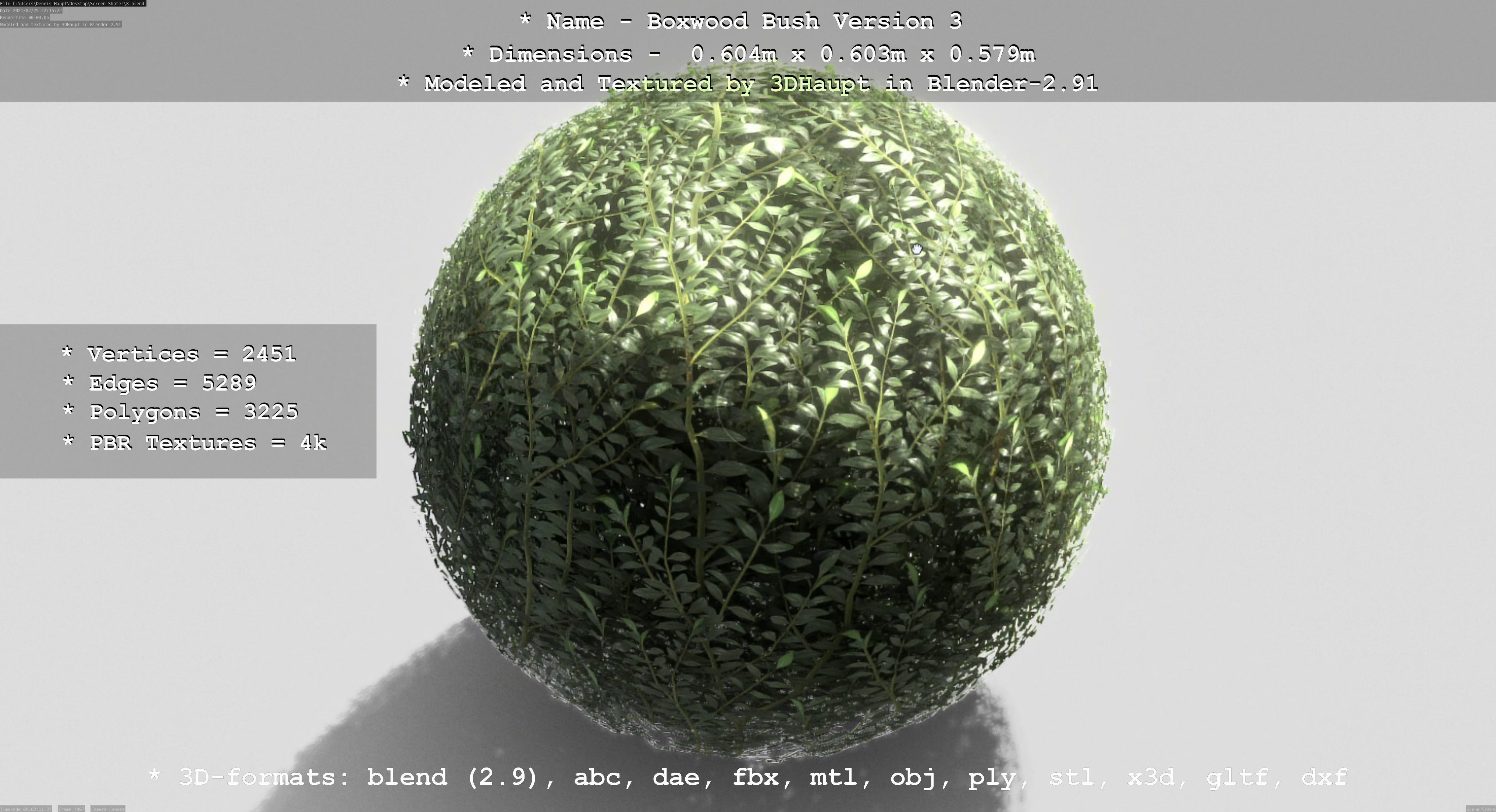 Low-Poly Boxwood Bush Version 3 Low-poly 3D model_23