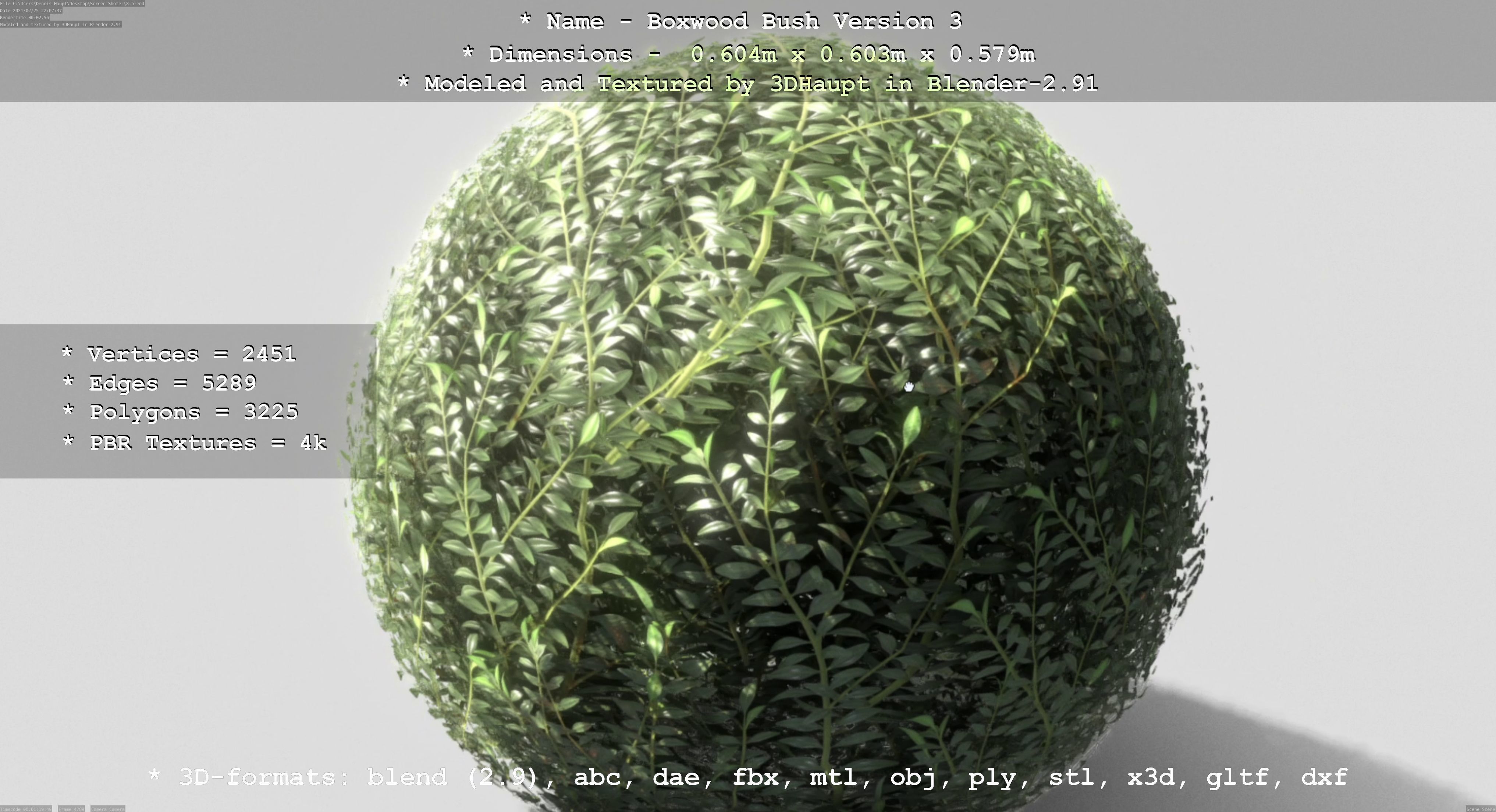Low-Poly Boxwood Bush Version 3 Low-poly 3D model_3