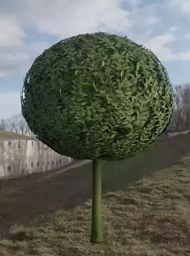 Box Tree 1 m Low-poly 3D model