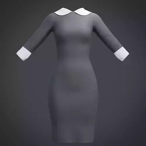Female Collar dress