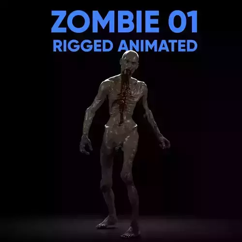 Zombie 01 Rigged Animated Lowpoly