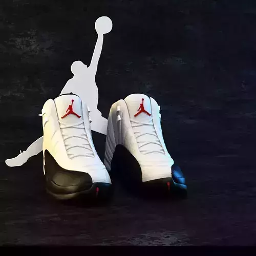 Air Jordan XII 1996