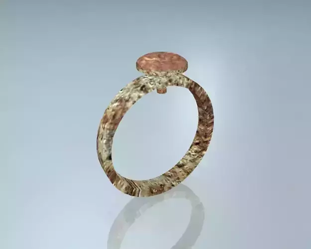 Rusted Hardware Tool Ring