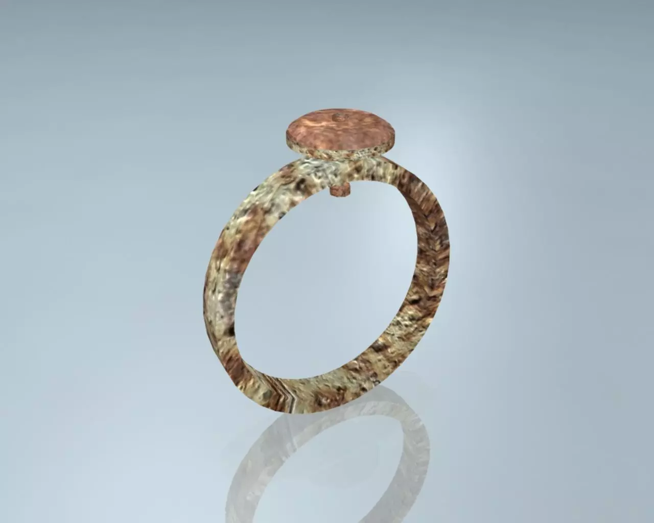 Rusted Hardware Tool Ring 3D model_0