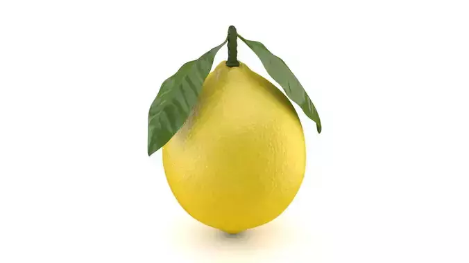 Realistic Lemon with Leaf Low-poly 3D model