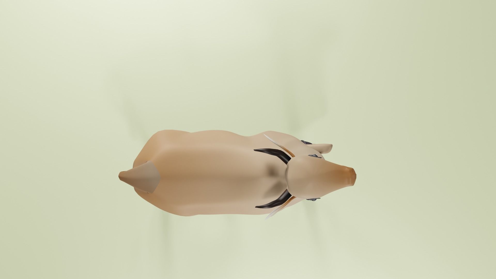 Indian cow 3d model 3D model_7