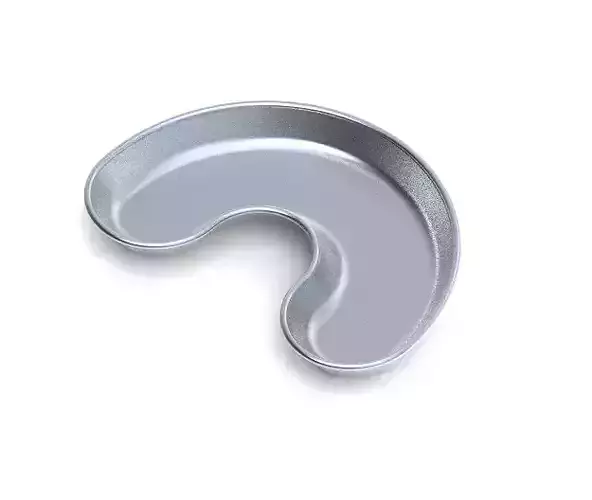 Kidney Tray 3D print model