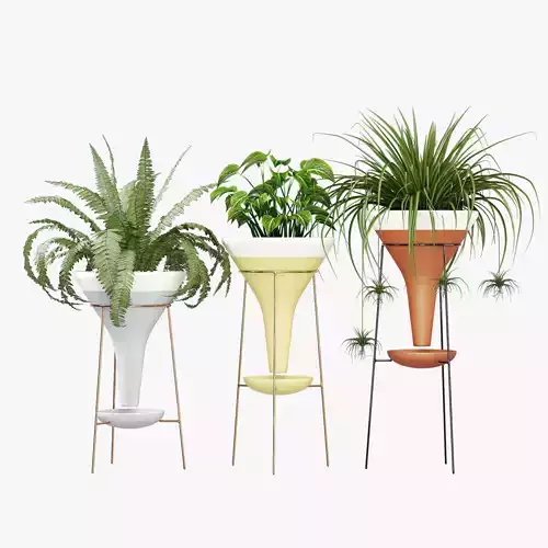Colorblock three potted plants