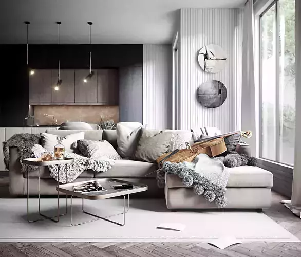 Living room and kitchen design