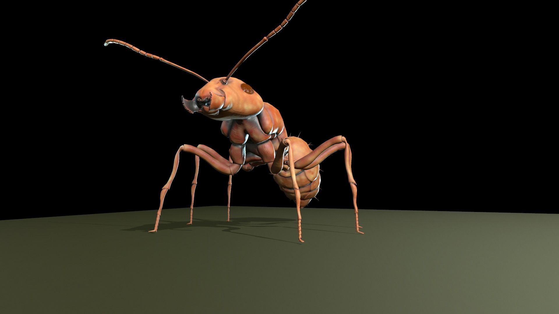  Worker Ant Low-poly 3D model_8