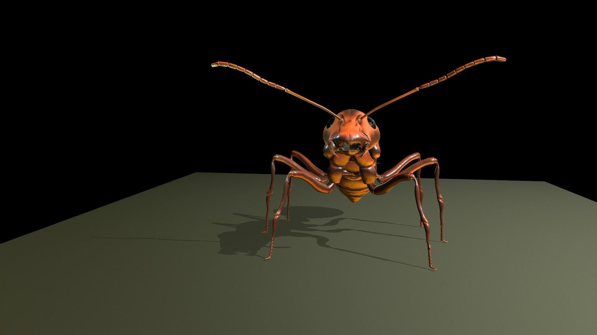  Worker Ant Low-poly 3D model_13