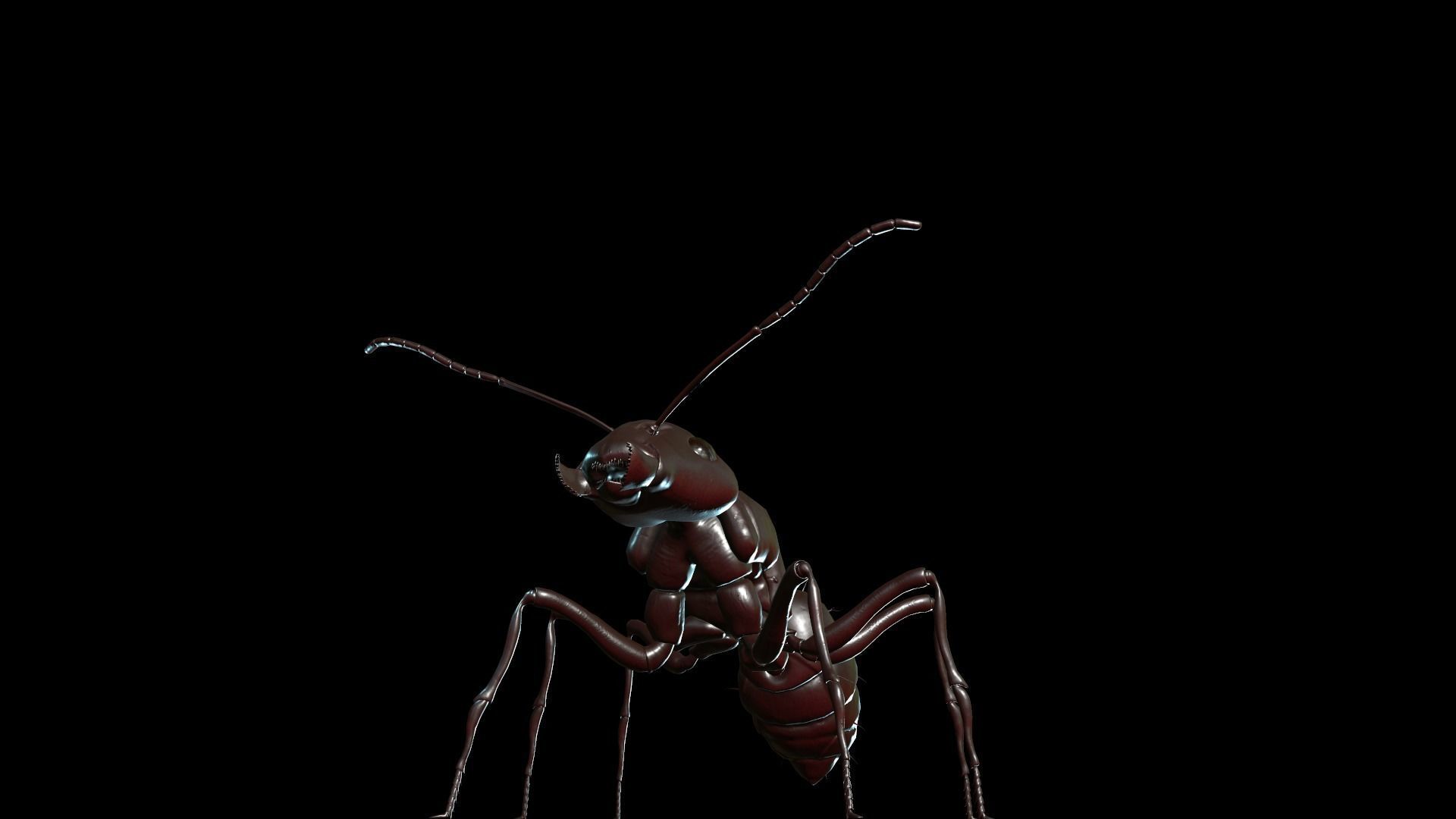  Worker Ant Low-poly 3D model_3