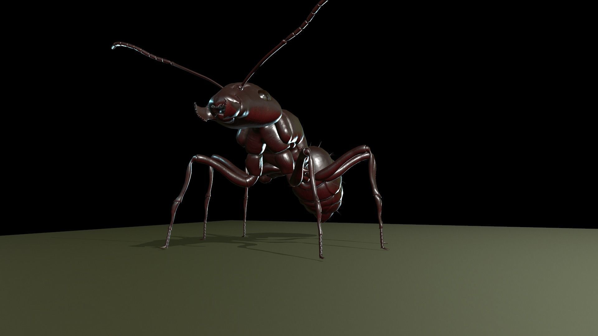  Worker Ant Low-poly 3D model_7