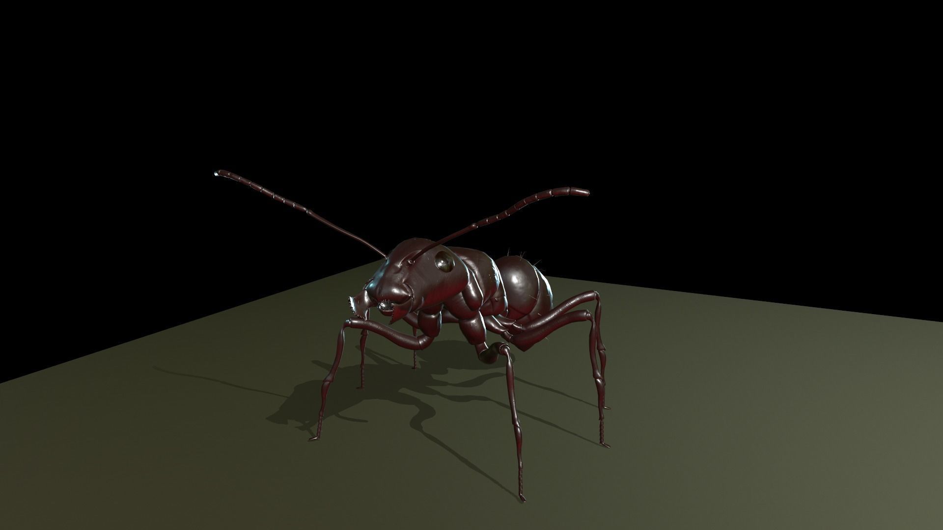  Worker Ant Low-poly 3D model_2