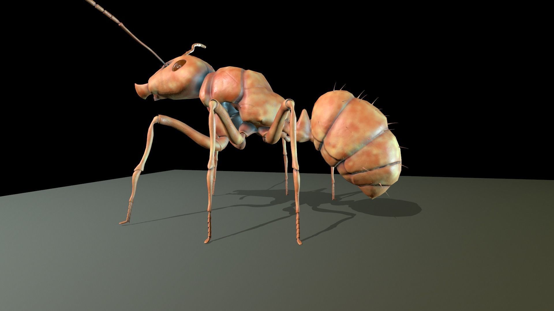  Worker Ant Low-poly 3D model_11