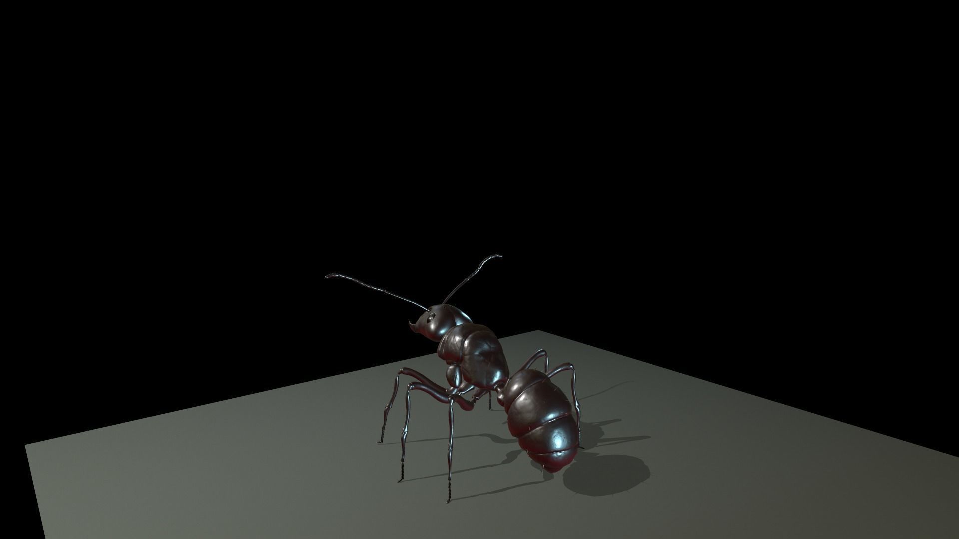  Worker Ant Low-poly 3D model_4