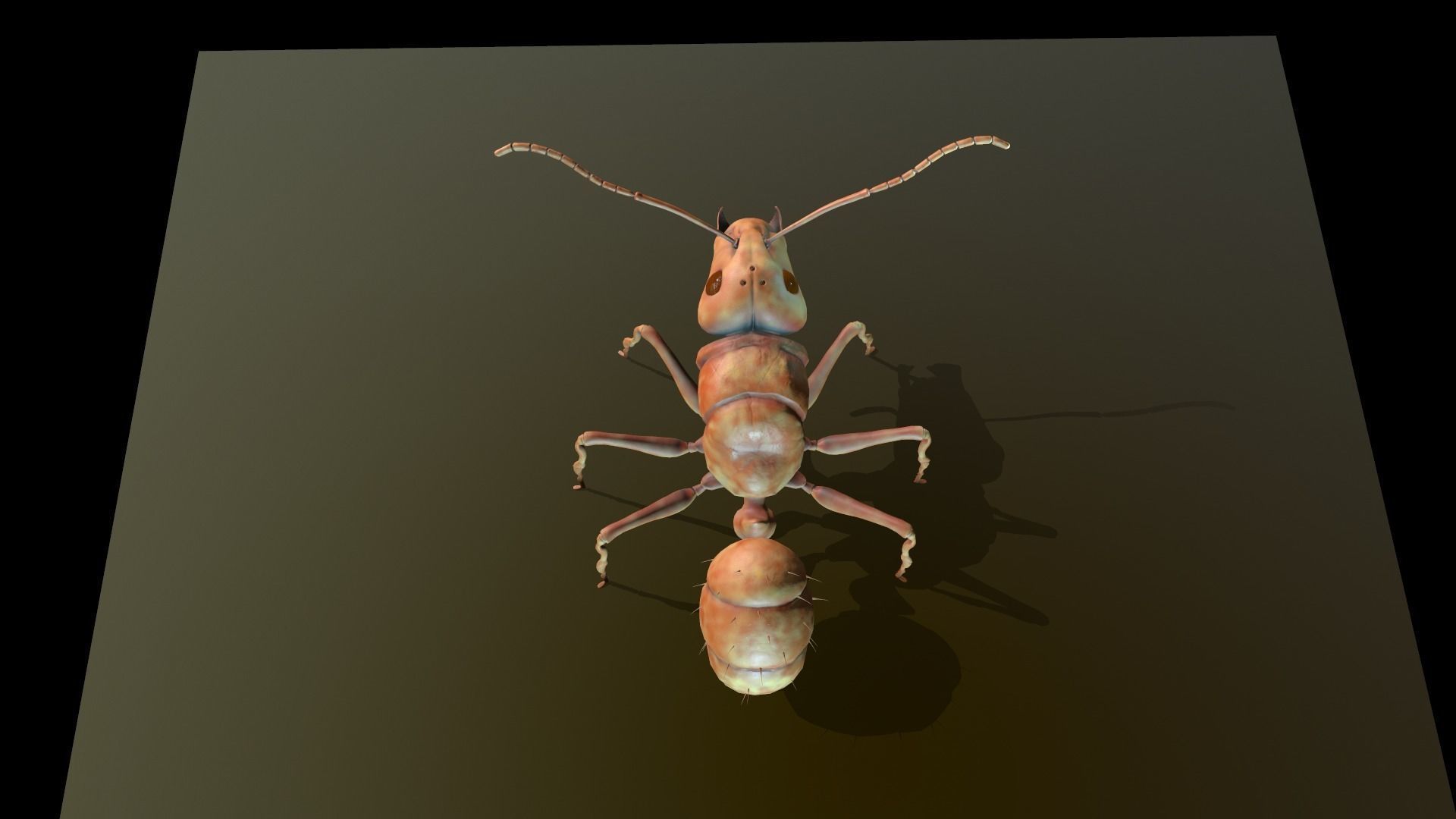  Worker Ant Low-poly 3D model_12