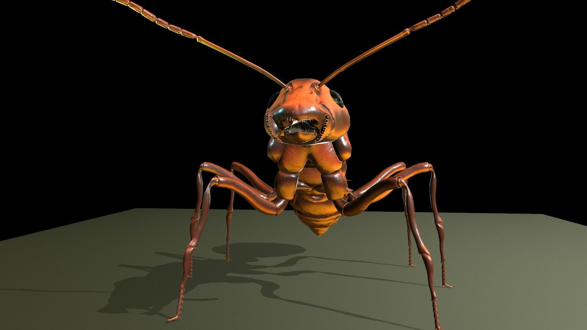  Worker Ant Low-poly 3D model_17