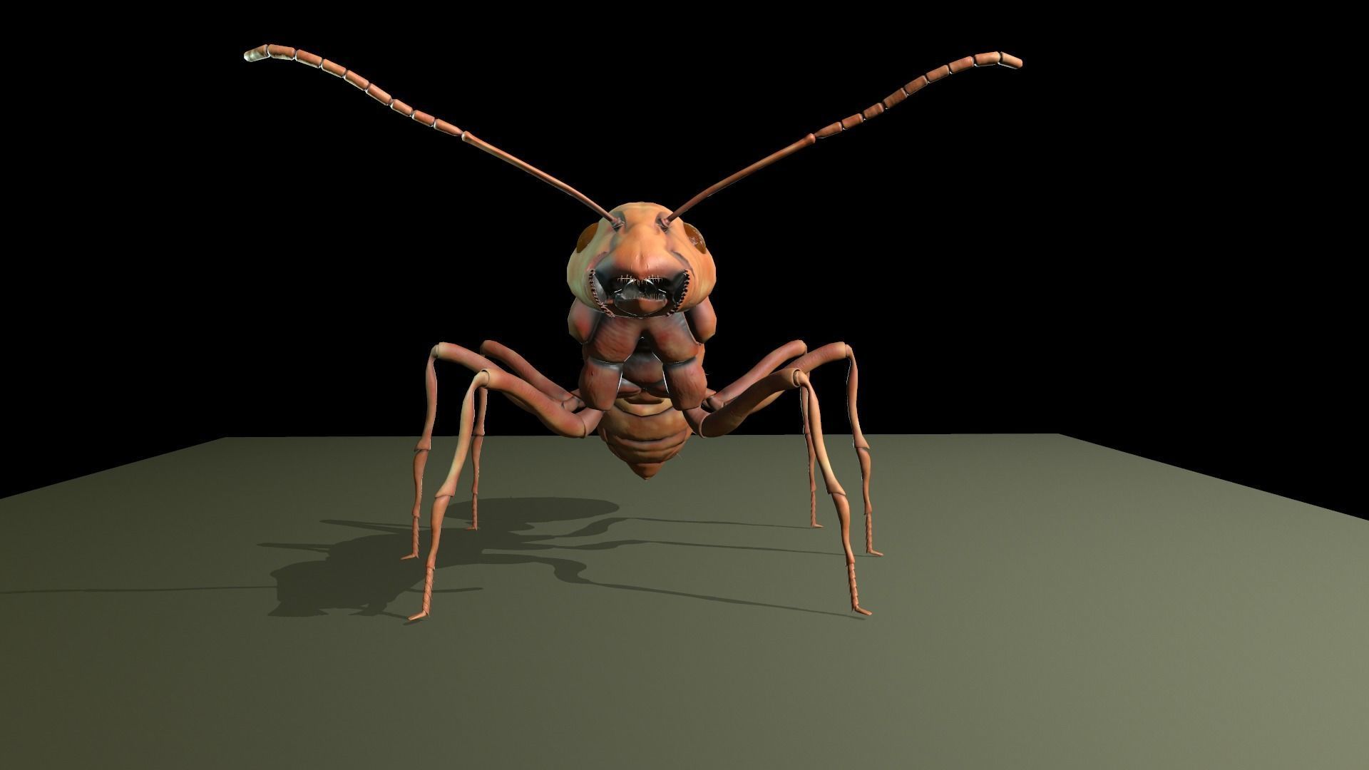  Worker Ant Low-poly 3D model_9