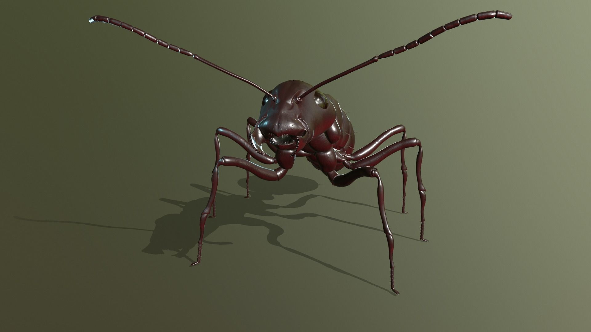  Worker Ant Low-poly 3D model_18