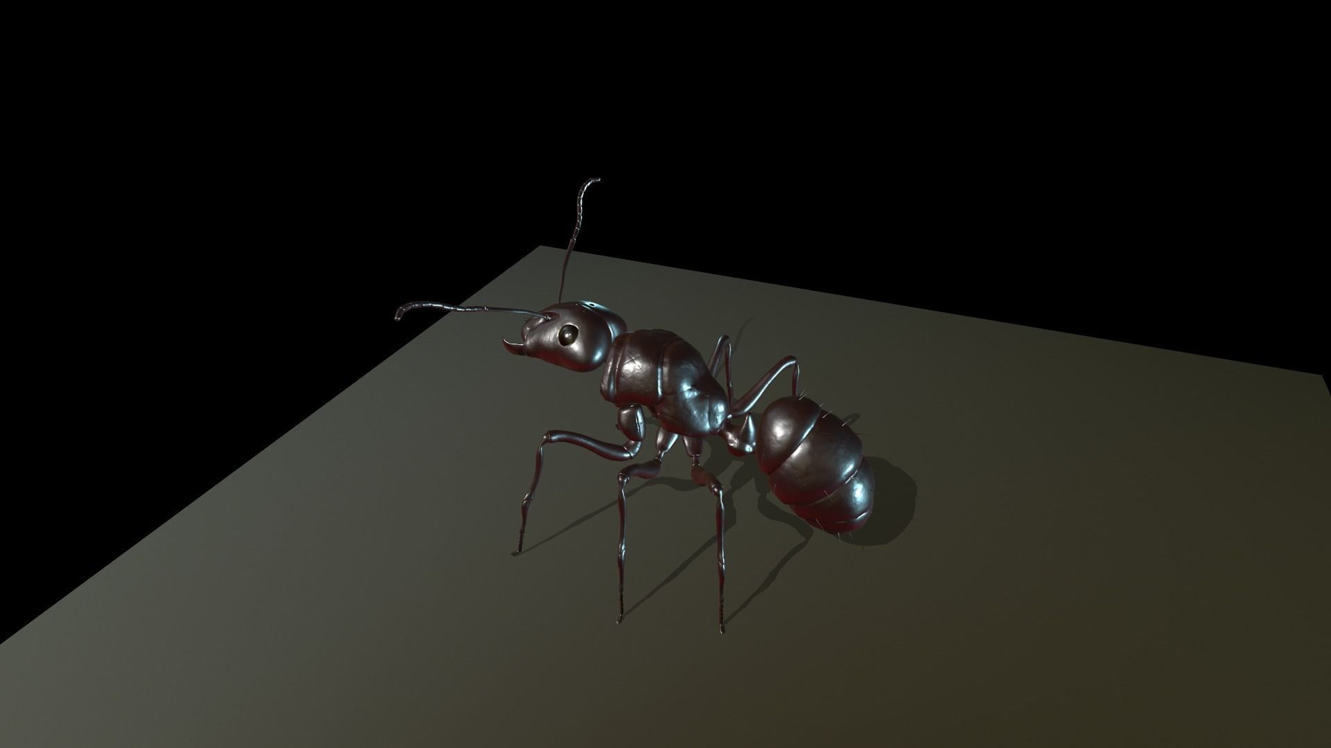  Worker Ant Low-poly 3D model_6
