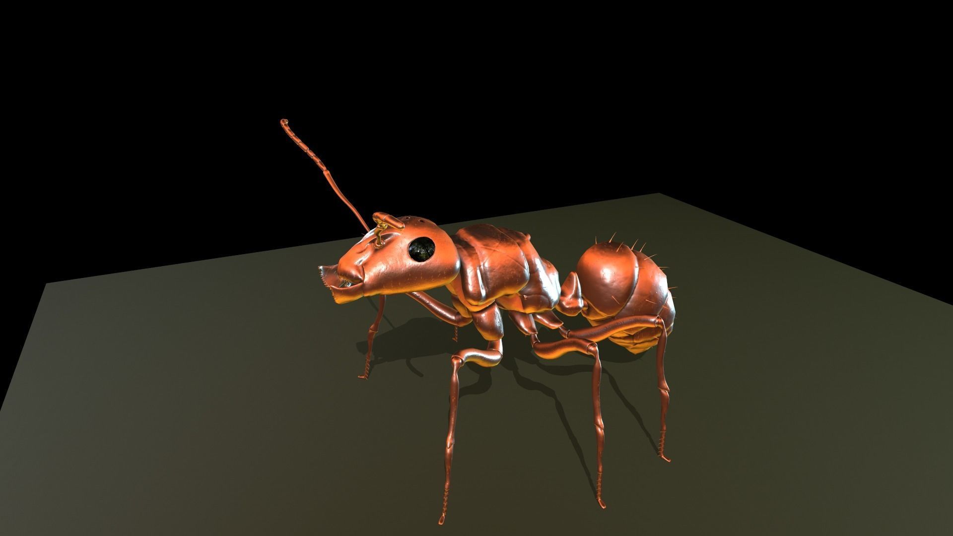  Worker Ant Low-poly 3D model_14