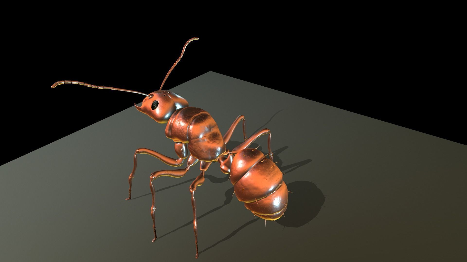  Worker Ant Low-poly 3D model_15