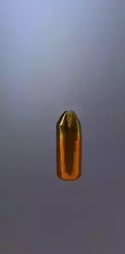 Gun bullet