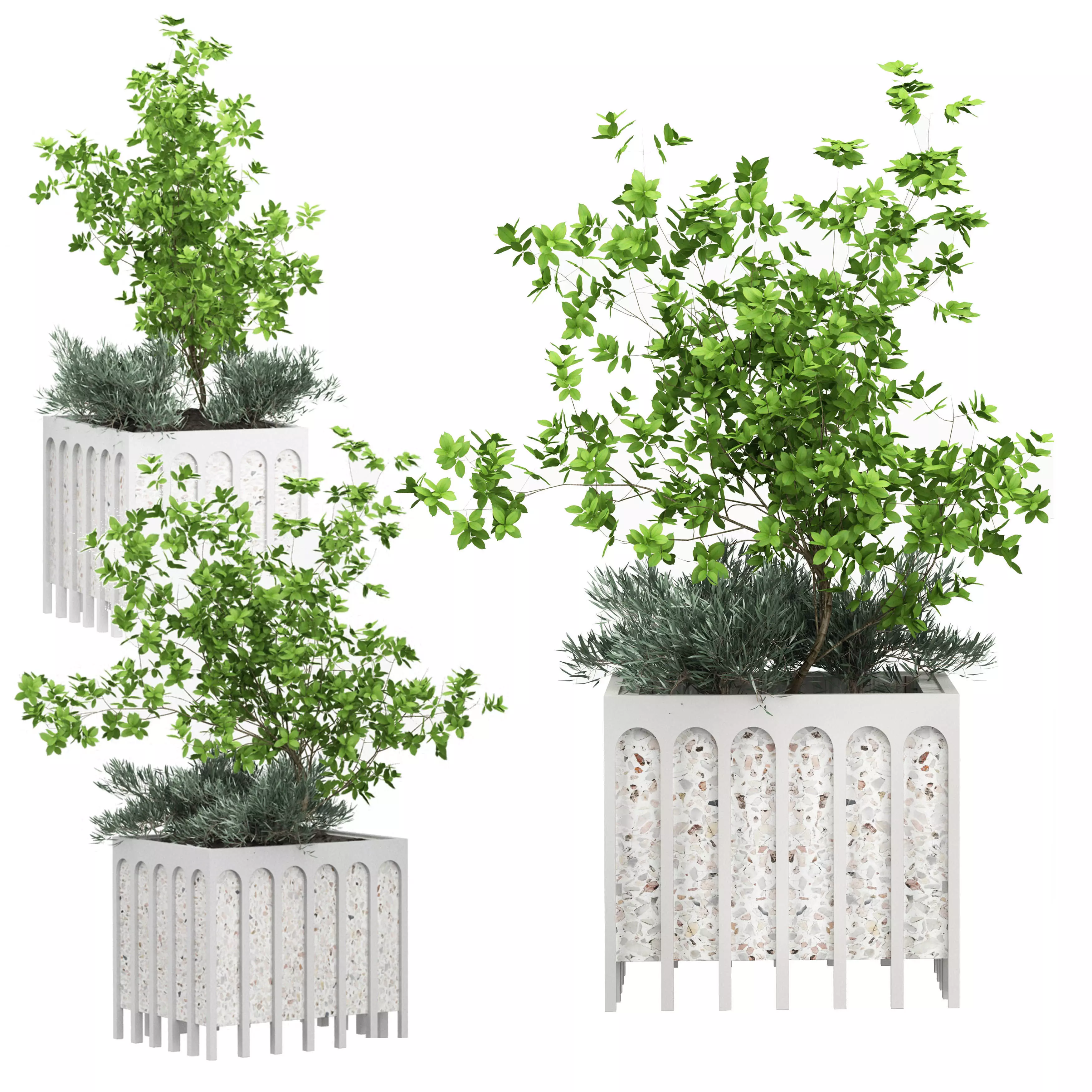 Flower Pack 168 3D model