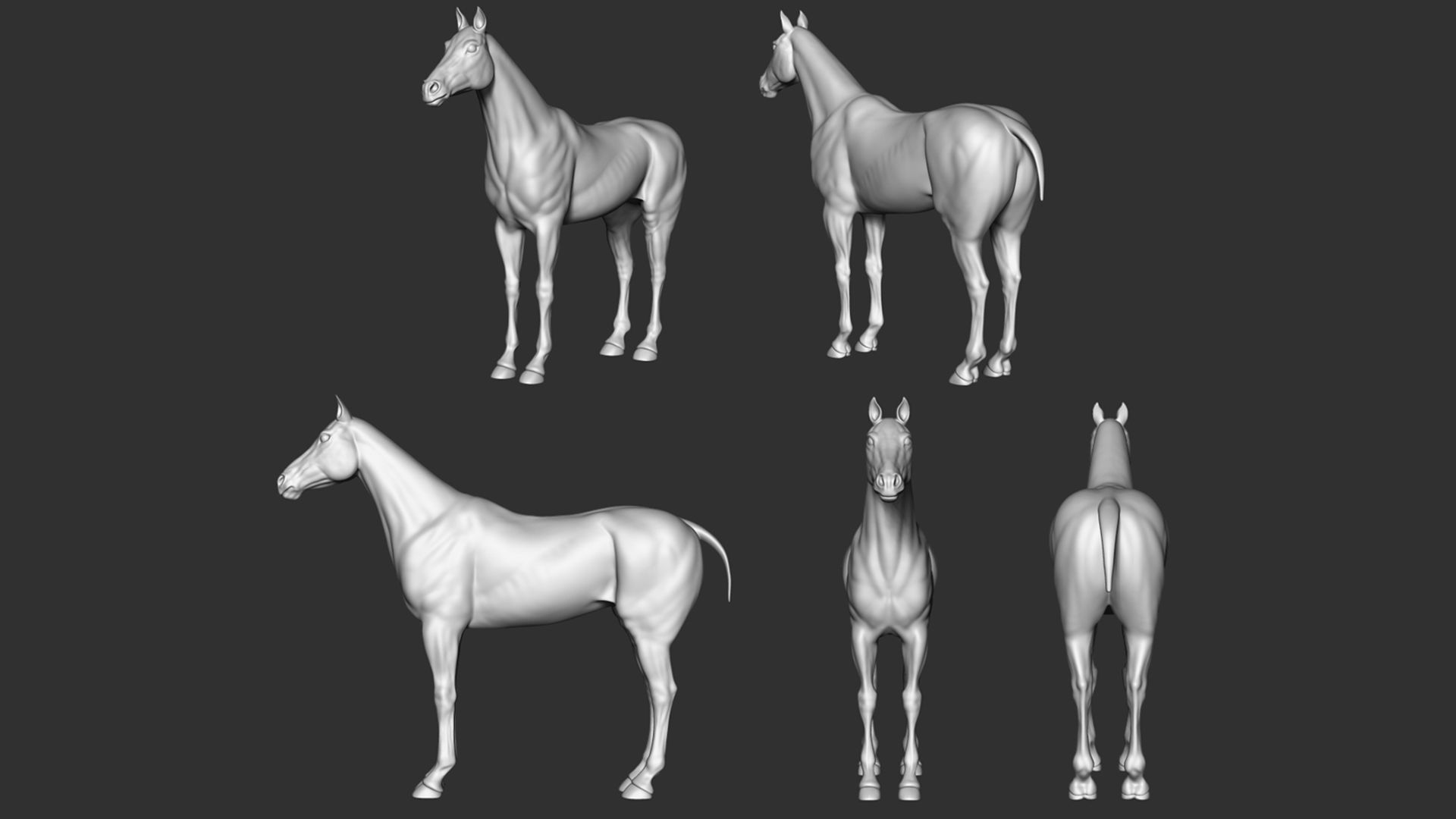 Horse 3D model Low-poly 3D model_1
