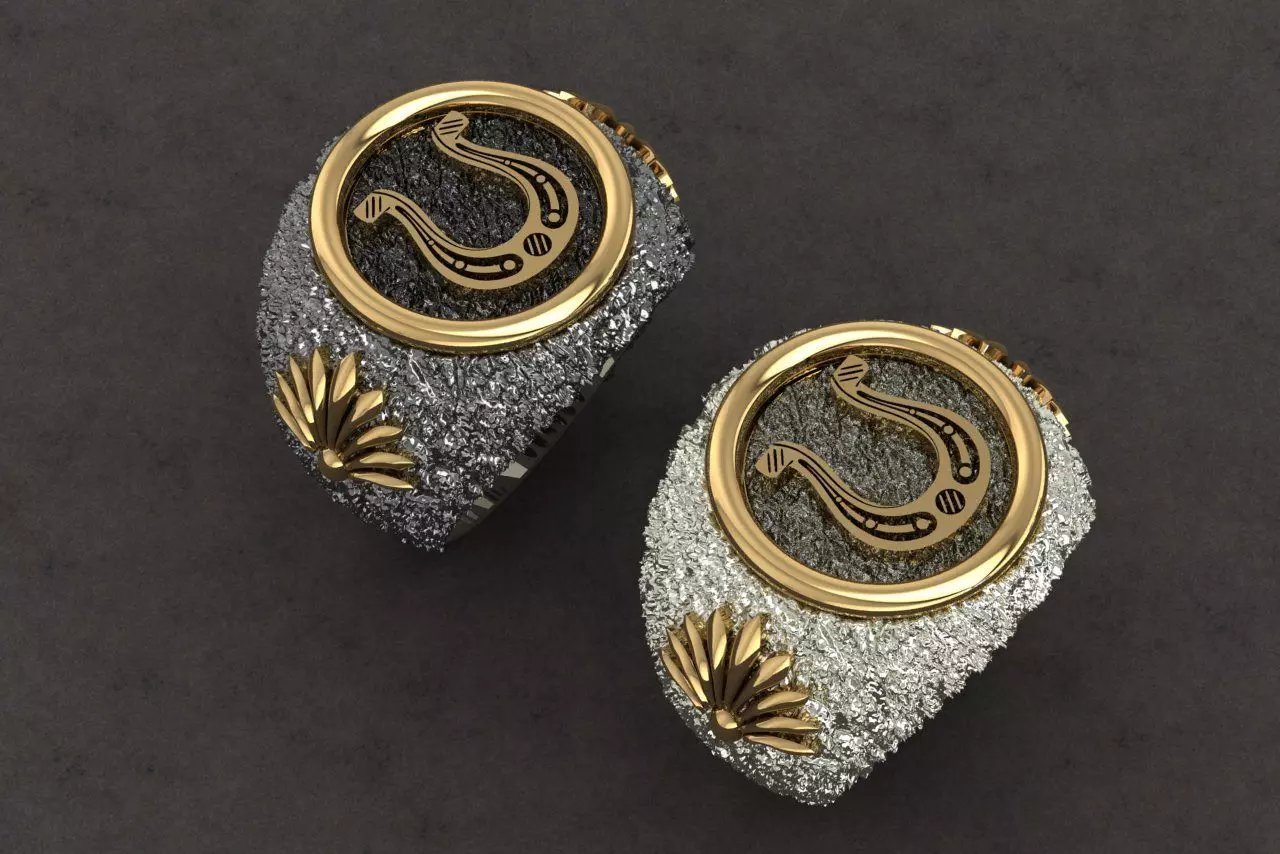 HORSESHOE RING FOR MAN 3D print model_0