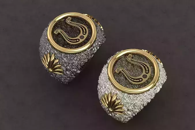 HORSESHOE RING FOR MAN 3D print model