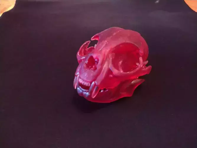 Crane de chat skull cat