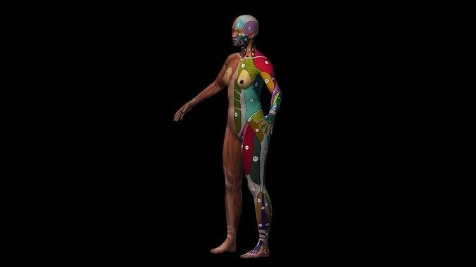 Rigged Muscle Sketch 3D model